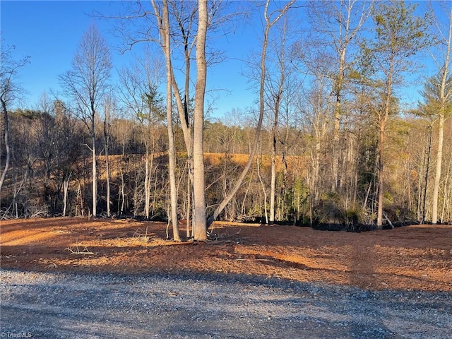 0 Rockford St, Mount Airy, NC 27030