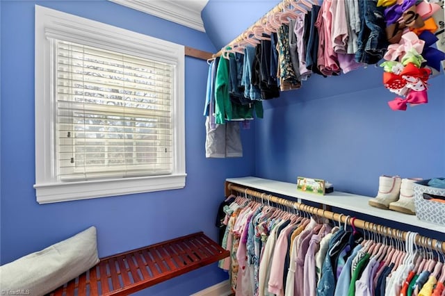 view of spacious closet