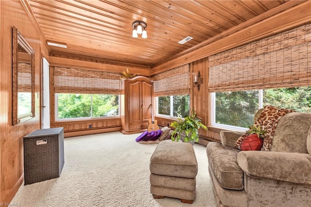 sunroom / solarium featuring wood ceiling, a baseboard radiator, and a healthy amount of sunlight