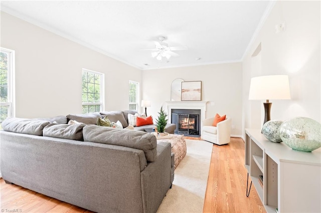 7 Pilot Ridge Ct, Greensboro, NC 27407 - living area featuring ornamental molding, light wood-style floors, a ceiling fan, and a fireplace with flush hearth