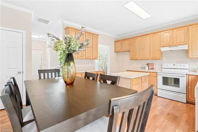 7 Pilot Ridge Ct, Greensboro, NC 27407 - kitchen with white range with electric stovetop, under cabinet range hood, light brown cabinets, ornamental molding, and light countertops