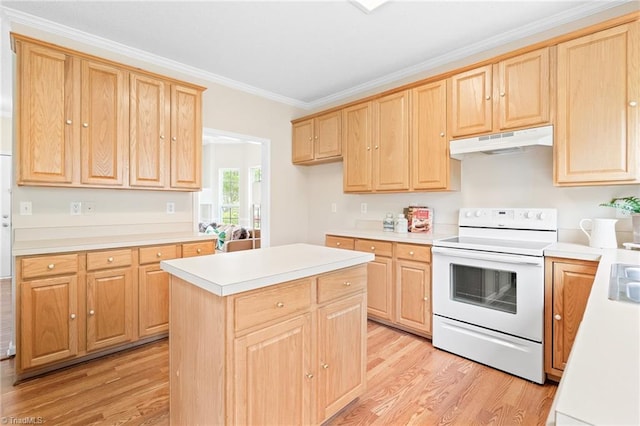 7 Pilot Ridge Ct, Greensboro, NC 27407 - kitchen with white range with electric cooktop, under cabinet range hood, light brown cabinets, light wood finished floors, and ornamental molding