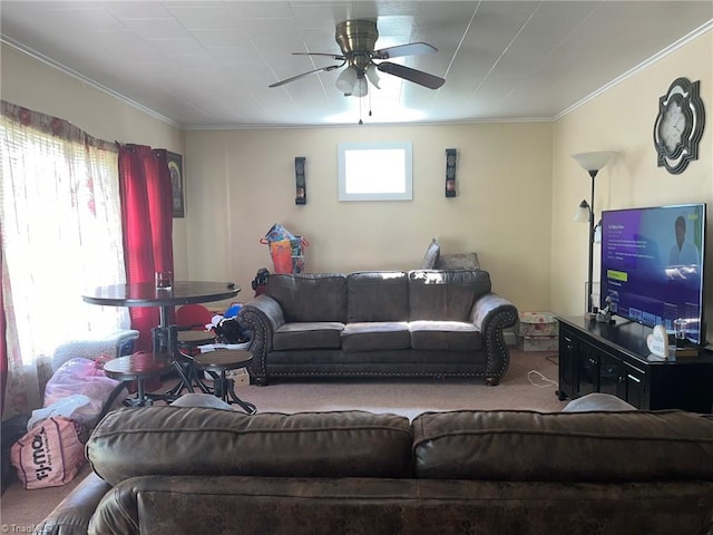living area featuring crown molding, carpet floors, and ceiling fan