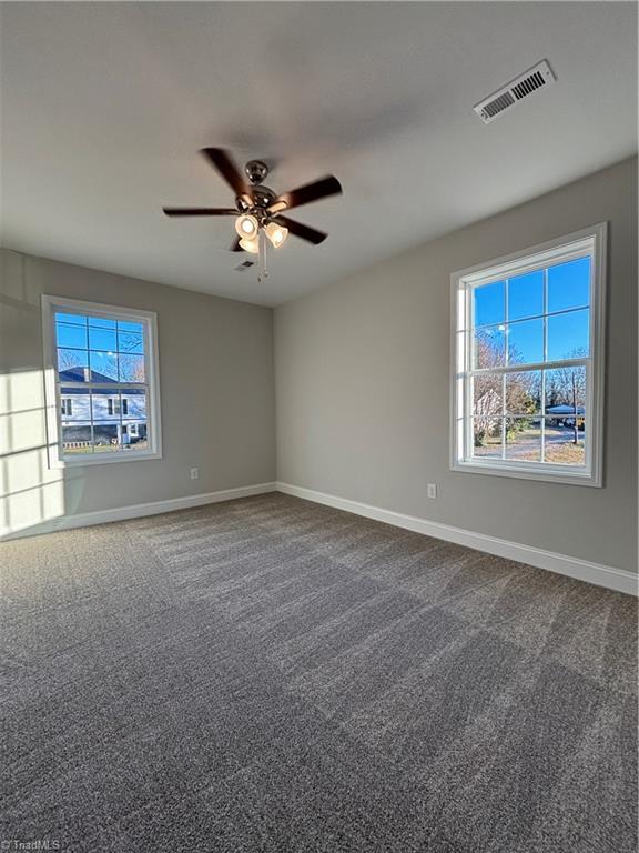 empty room featuring carpet floors, ceiling fan, and a healthy amount of sunlight