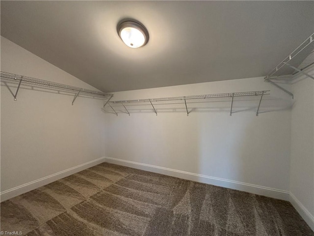 spacious closet featuring carpet and lofted ceiling