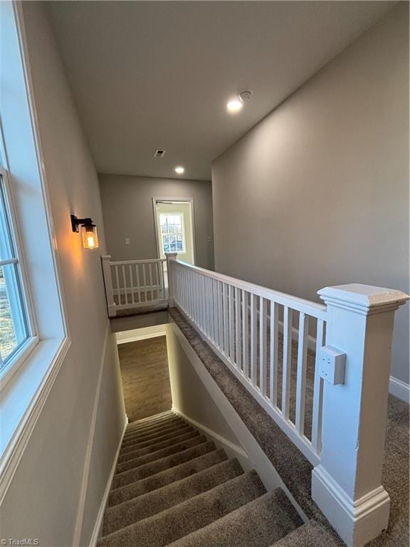 staircase with carpet flooring