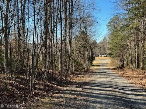 1024 Woodruff Woods Dr, Jonesville NC, 28642 land for sale