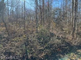 Listing photo 2 for 1024 Woodruff Woods Dr, Jonesville NC 28642