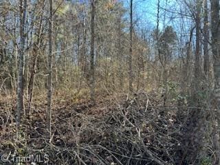 Listing photo 3 for 1024 Woodruff Woods Dr, Jonesville NC 28642