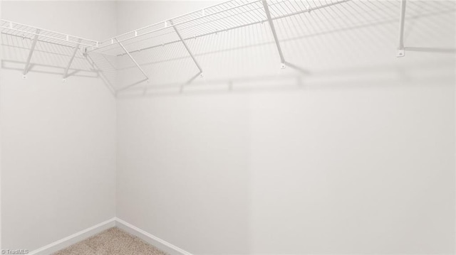 walk in closet with carpet