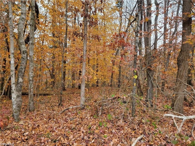 0 Rhodes Loop, Madison NC, 27025 land for sale