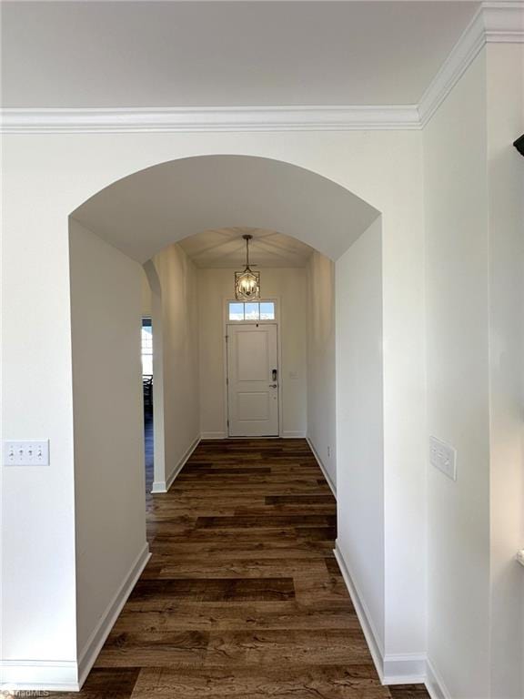 interior space featuring crown molding and dark hardwood / wood-style floors