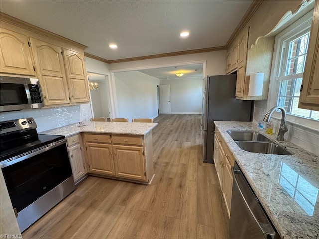 kitchen featuring a peninsula, light wood-style flooring, a sink, appliances with stainless steel finishes, and backsplash