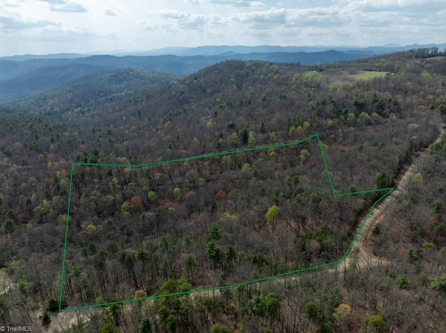 13 Chestnut Mountain Farms Pkwy, Mcgrady NC, 28649 land for sale