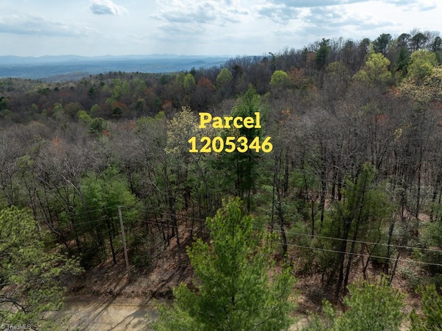 Listing photo 2 for 13 Chestnut Mountain Farms Pkwy, Mcgrady NC 28649