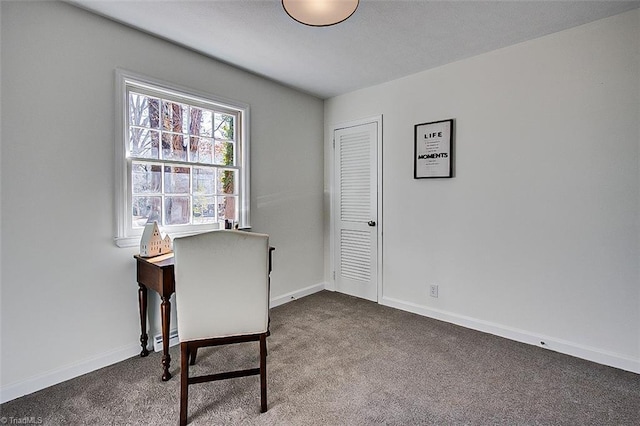 interior space with carpet floors