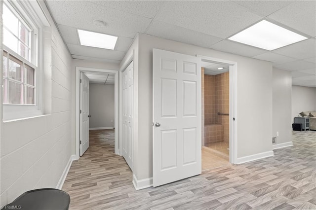 corridor featuring light wood-type flooring and a drop ceiling