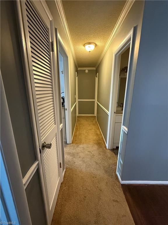 corridor with crown molding, carpet, and a textured ceiling