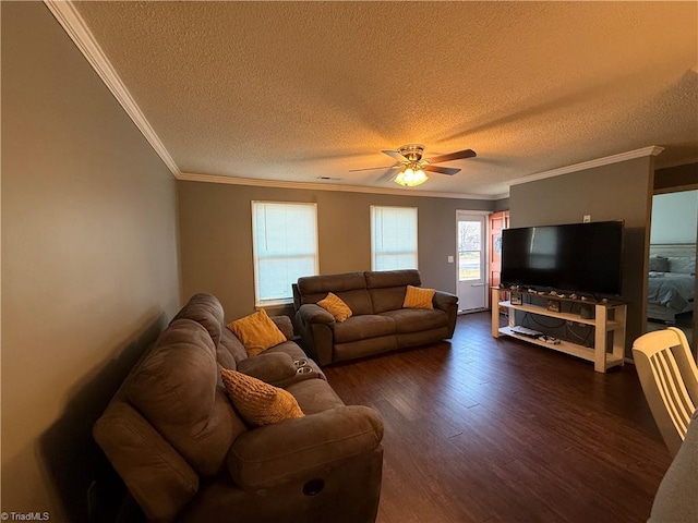 living room with a textured ceiling, ornamental molding, dark hardwood / wood-style floors, and ceiling fan