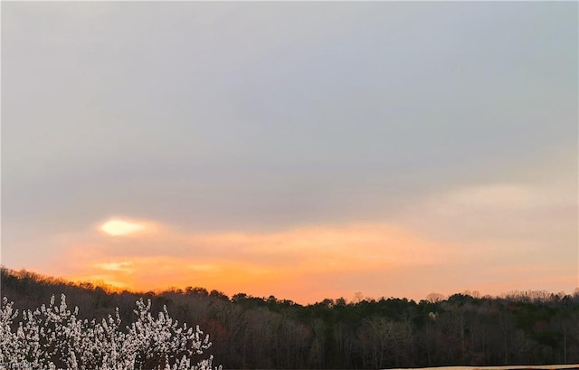 view of local wilderness with a view of trees