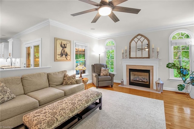 6707 Fegan Rd, Summerfield, NC 27358 - living room with ceiling fan, light wood finished floors, a fireplace with flush hearth, and ornamental molding