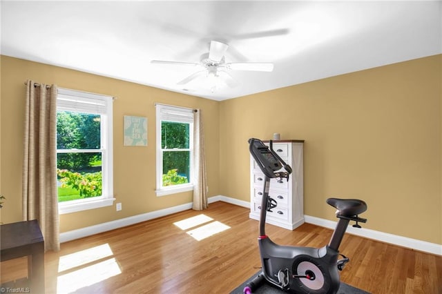 6707 Fegan Rd, Summerfield, NC 27358 - exercise area featuring wood finished floors and ceiling fan
