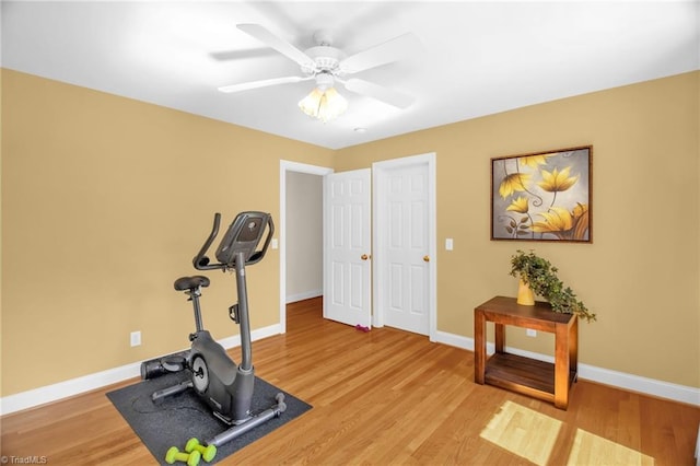 6707 Fegan Rd, Summerfield, NC 27358 - exercise room featuring light wood-style flooring and a ceiling fan