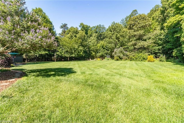 6707 Fegan Rd, Summerfield, NC 27358 - view of green lawn