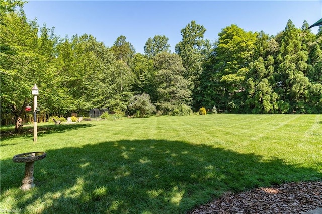 6707 Fegan Rd, Summerfield, NC 27358 - view of green lawn