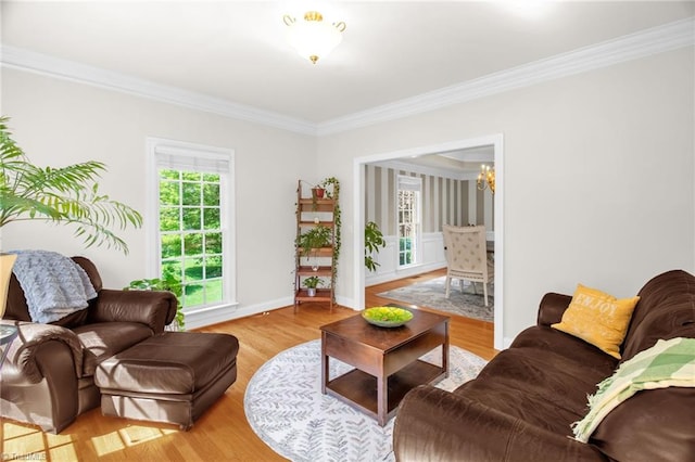 6707 Fegan Rd, Summerfield, NC 27358 - living area featuring crown molding, light wood finished floors, and a chandelier