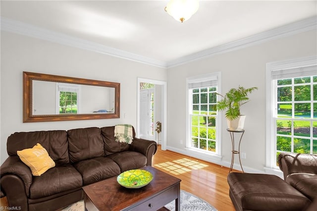 6707 Fegan Rd, Summerfield, NC 27358 - living area with ornamental molding, plenty of natural light, and light wood finished floors