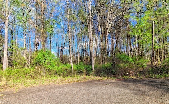 5095 Donna Marie Ct, Walkertown, NC 27051