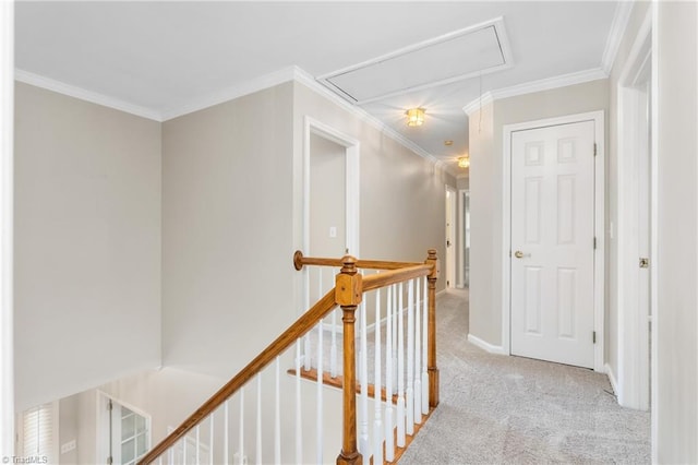4 Beech Grove Ct, Greensboro, NC 27455 - corridor with attic access, an upstairs landing, light carpet, ornamental molding, and baseboards