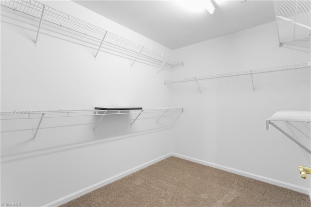 4 Beech Grove Ct, Greensboro, NC 27455 - walk in closet featuring carpet
