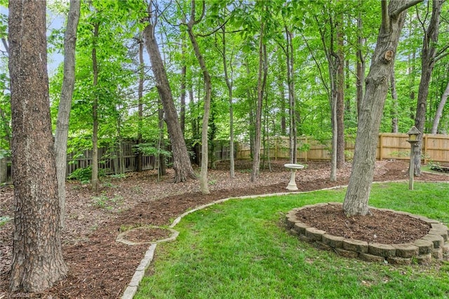 4 Beech Grove Ct, Greensboro, NC 27455 - view of yard