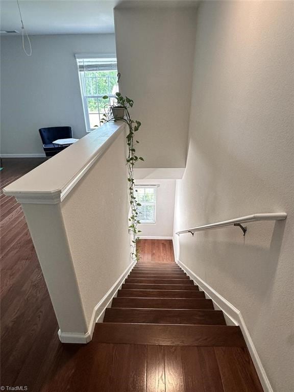 stairs with wood-type flooring and a wealth of natural light