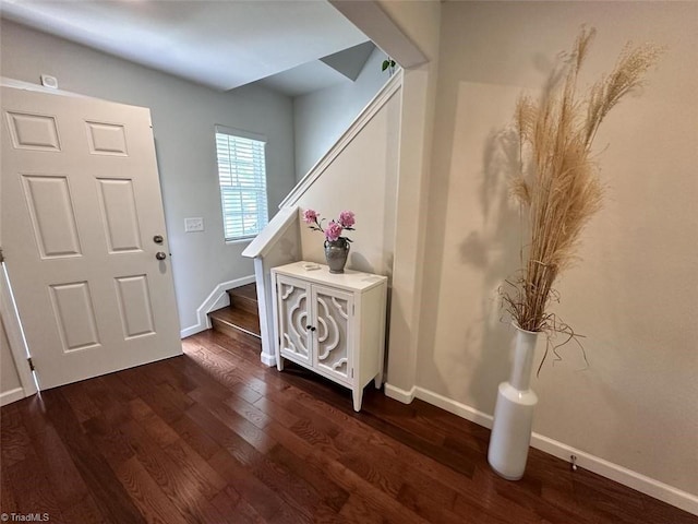 foyer entrance with dark wood-type flooring