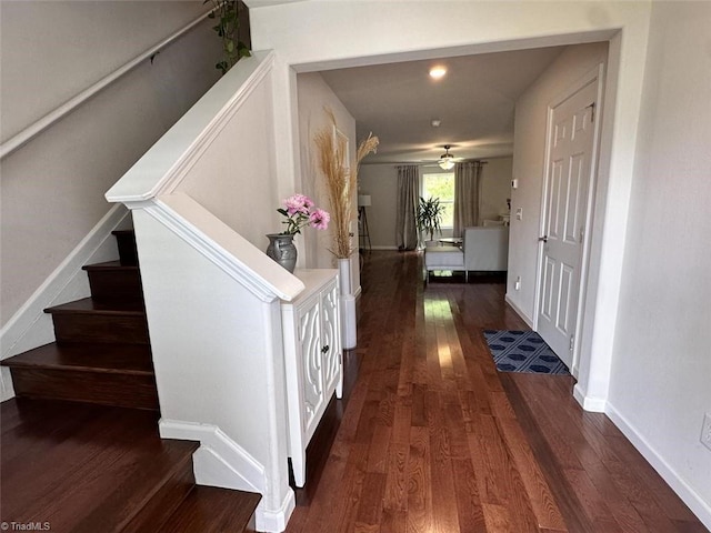 corridor with dark hardwood / wood-style flooring