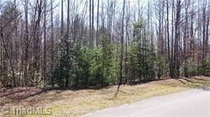 LOT18 Blue Mountain Dr, Wilkesboro NC, 28697 land for sale