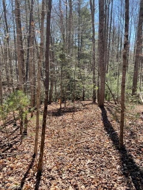 Listing photo 3 for LOT18 Blue Mountain Dr, Wilkesboro NC 28697