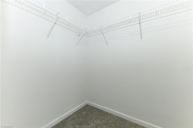 320 Apple Ridge Rd, Greensboro, NC 27406 - walk in closet with dark carpet