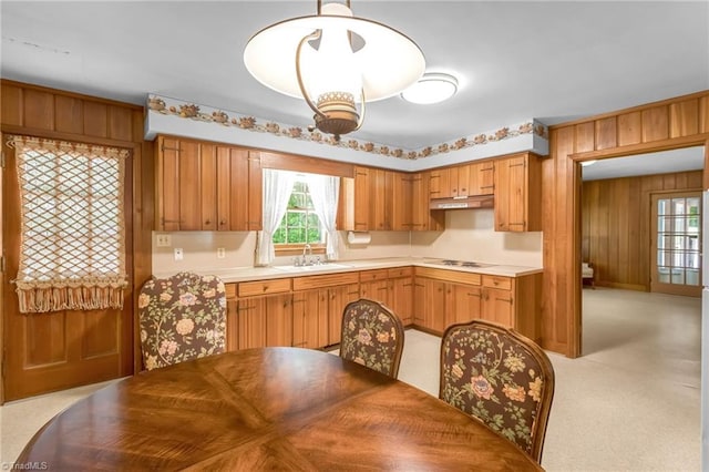 kitchen featuring a sink, under cabinet range hood, wooden walls, and a wealth of natural light