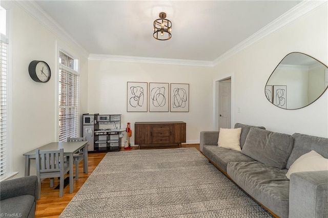 living room featuring ornamental molding and wood finished floors