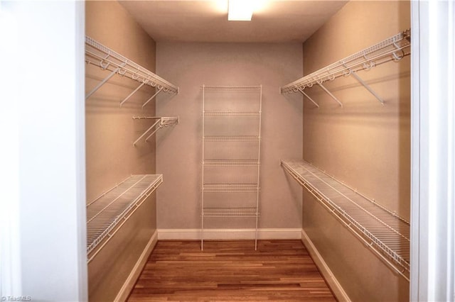 walk in closet featuring wood finished floors