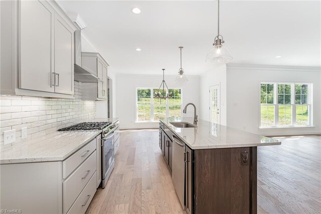 kitchen with light stone countertops, a center island with sink, stainless steel appliances, sink, and light wood-type flooring