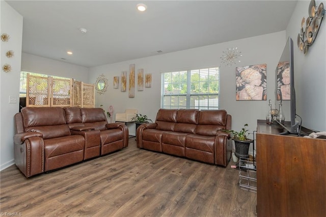 1272 Adrian Ct, Mebane, NC 27302 - living area featuring wood finished floors and recessed lighting