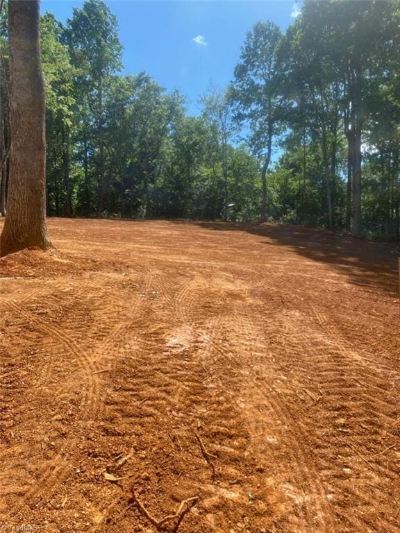 3077 Little Creek Dr, Thomasville, NC 27360 - view of yard