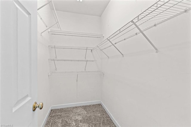 159 Forest Abbey Ln, China Grove, NC 28023 - spacious closet featuring carpet floors