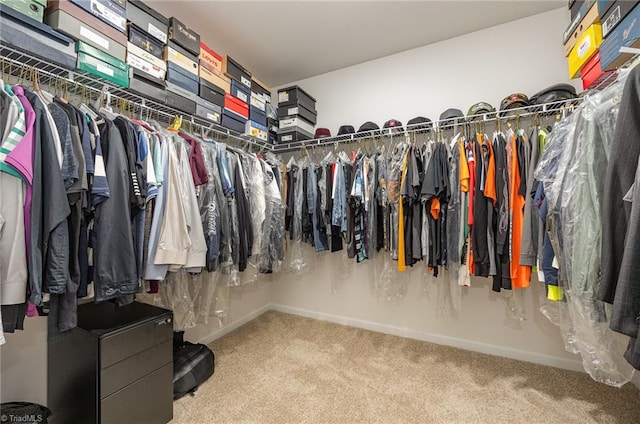 walk in closet featuring light carpet