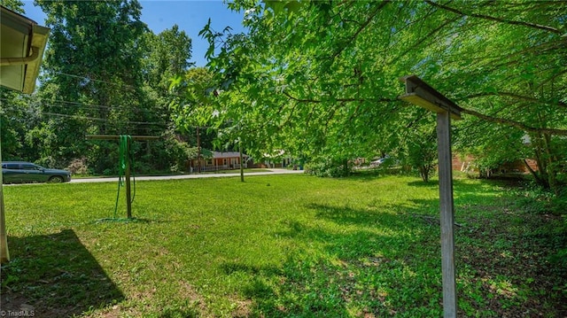 157 Blaze St, Winston-Salem, NC 27105 - view of green lawn